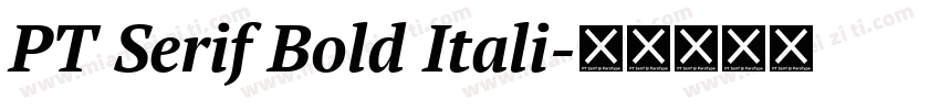 PT Serif Bold Itali字体转换